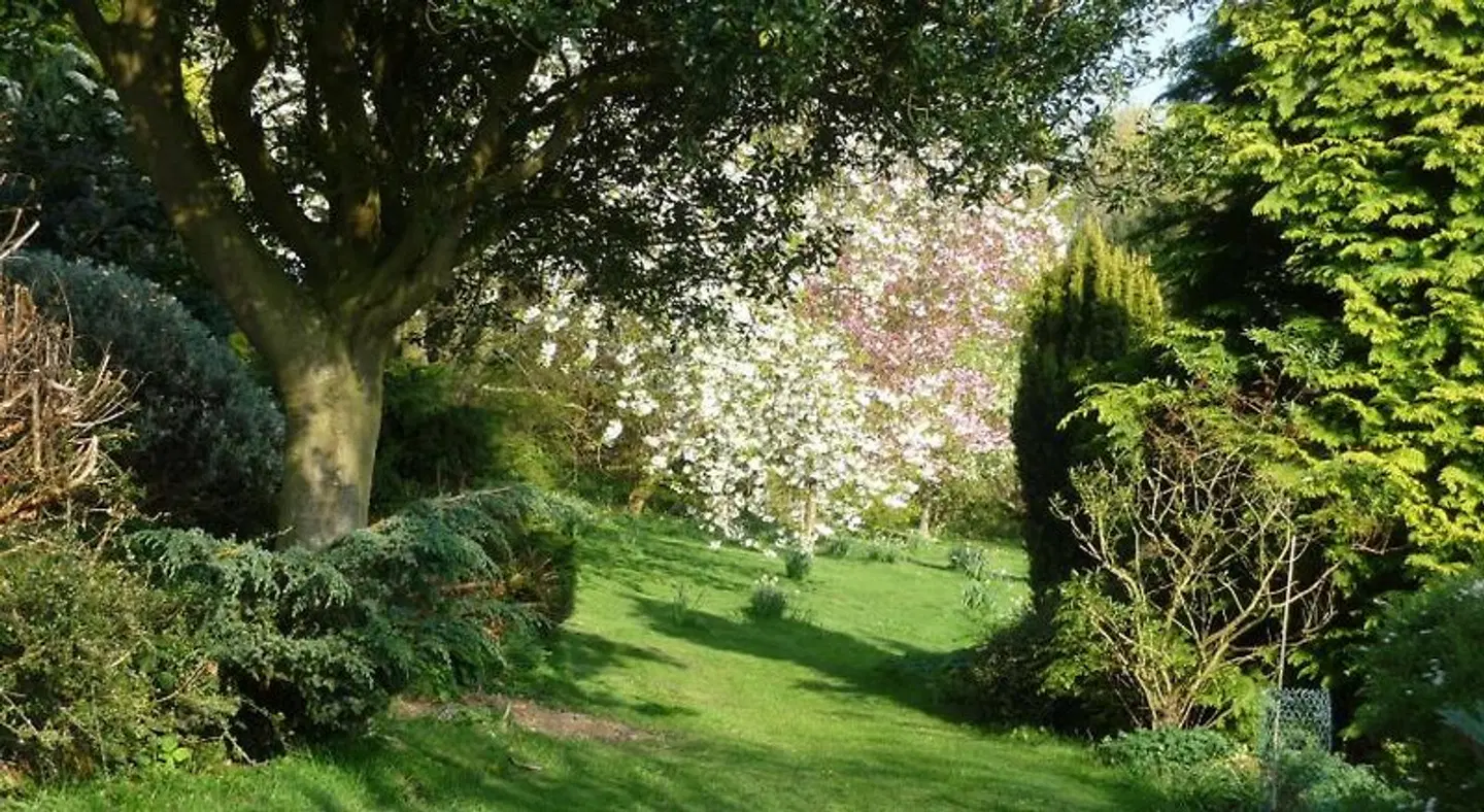 Shallowdale House Garten