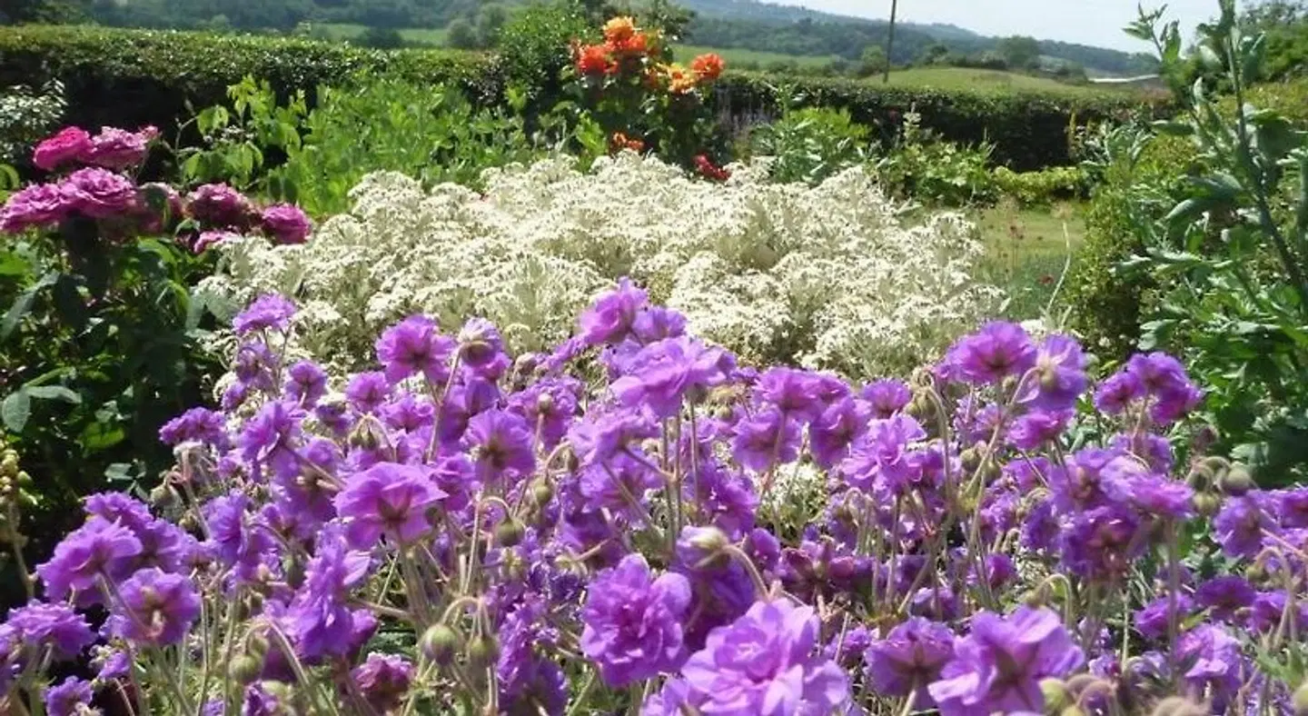 Shallowdale House LANDSCAPE