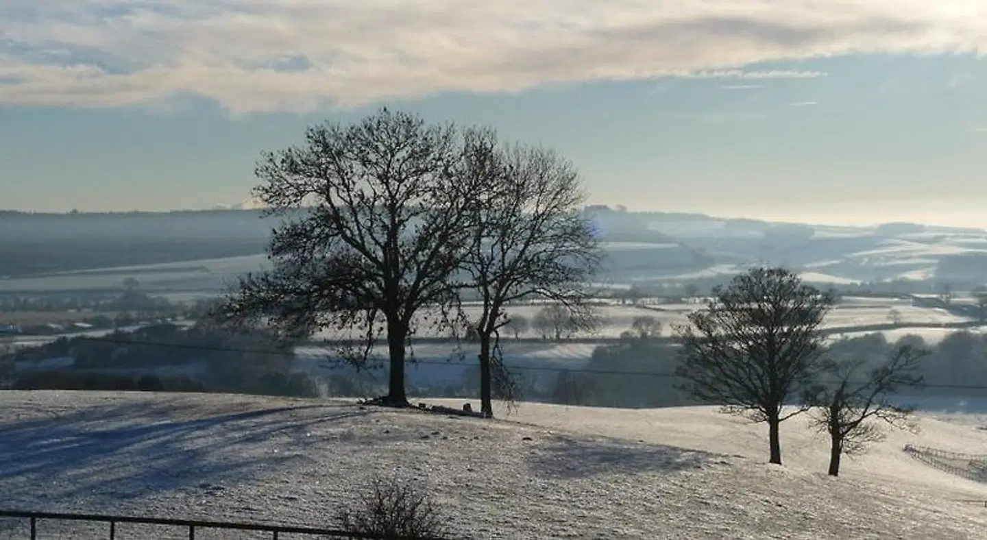 Shallowdale House LANDSCAPE