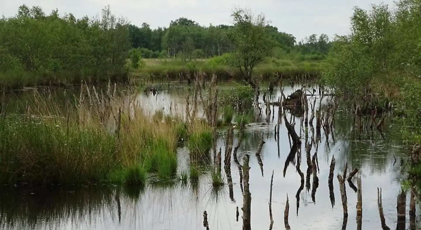 Veenloopcentrum Weiteveen LANDSCAPE