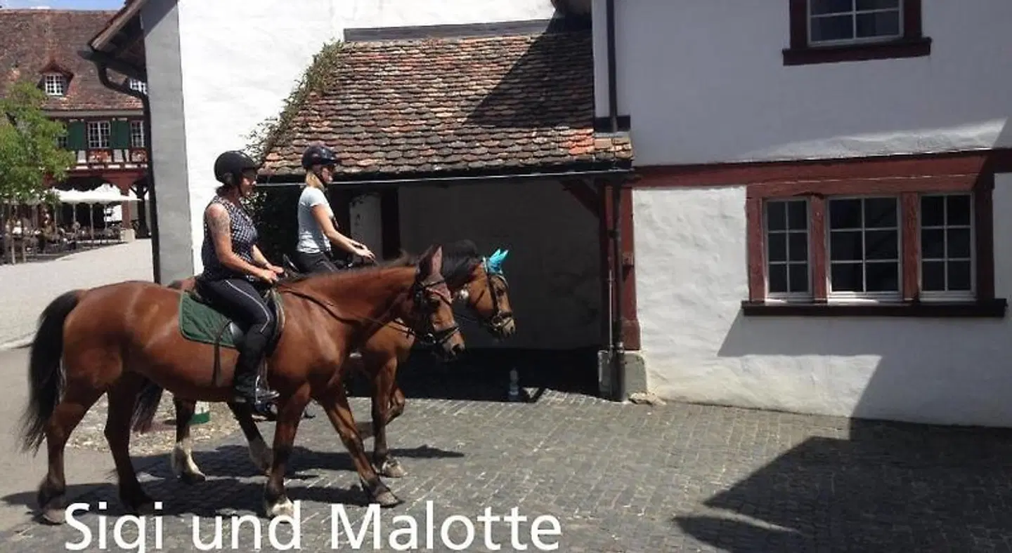 Kartause Ittingen Tiere