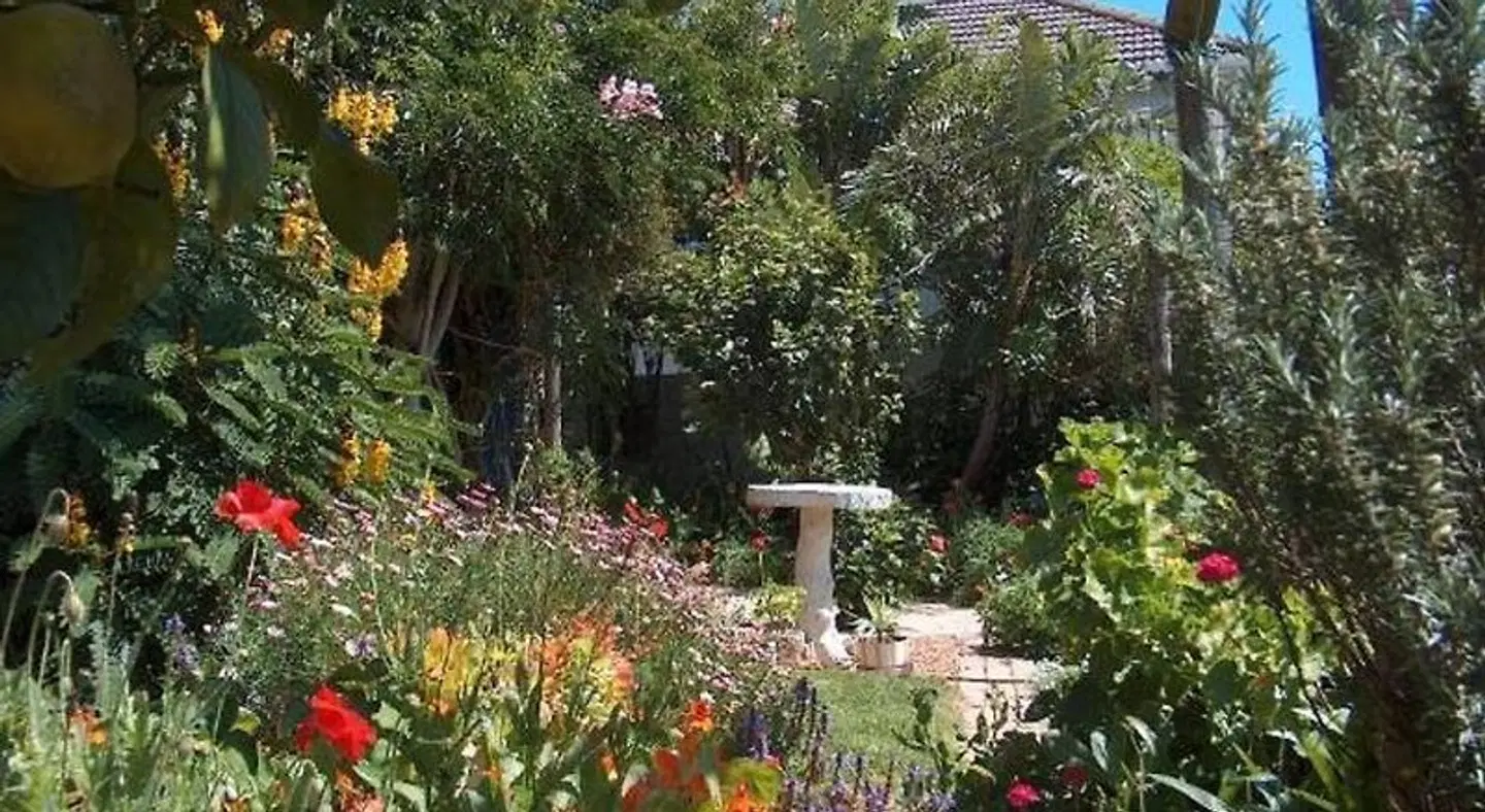 Rachel's Home From Home Garten
