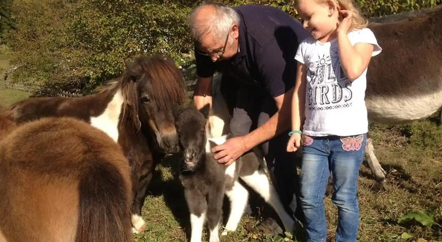 Rausch Tiere