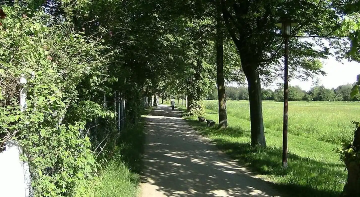 Leisewitz' Garten Garten