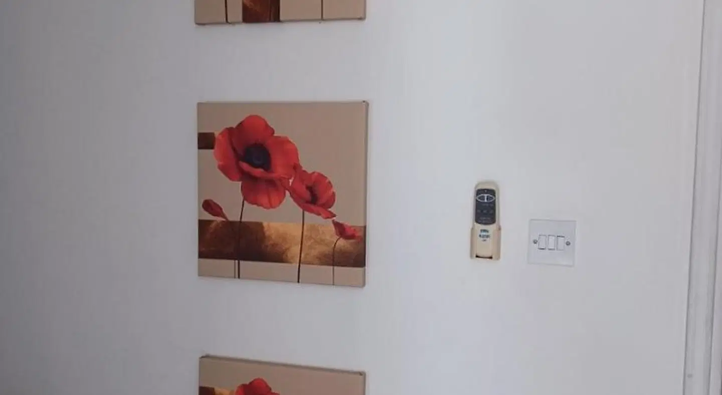 Iris Village ROOM_EXAMPLE