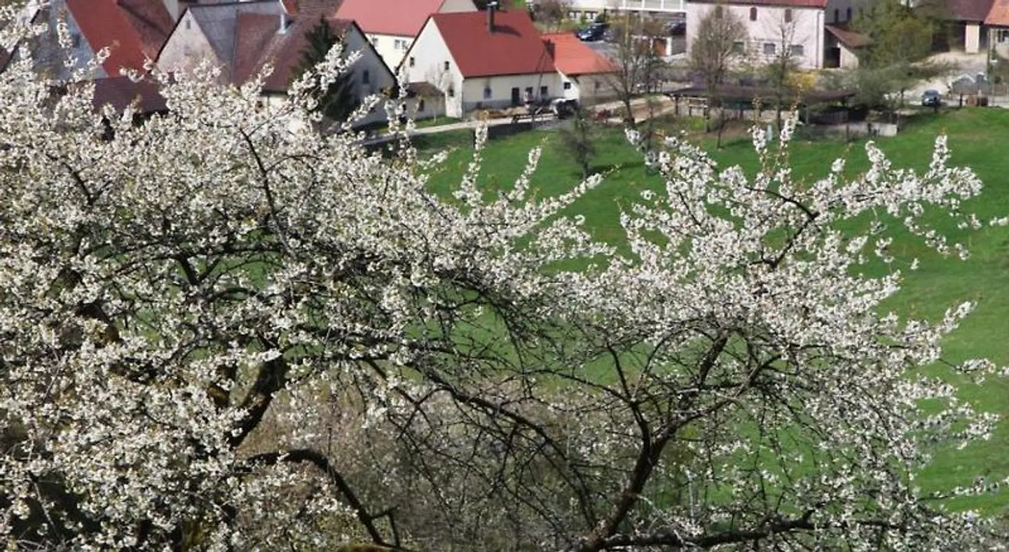 Zum Alten Schloß EXTERIOR