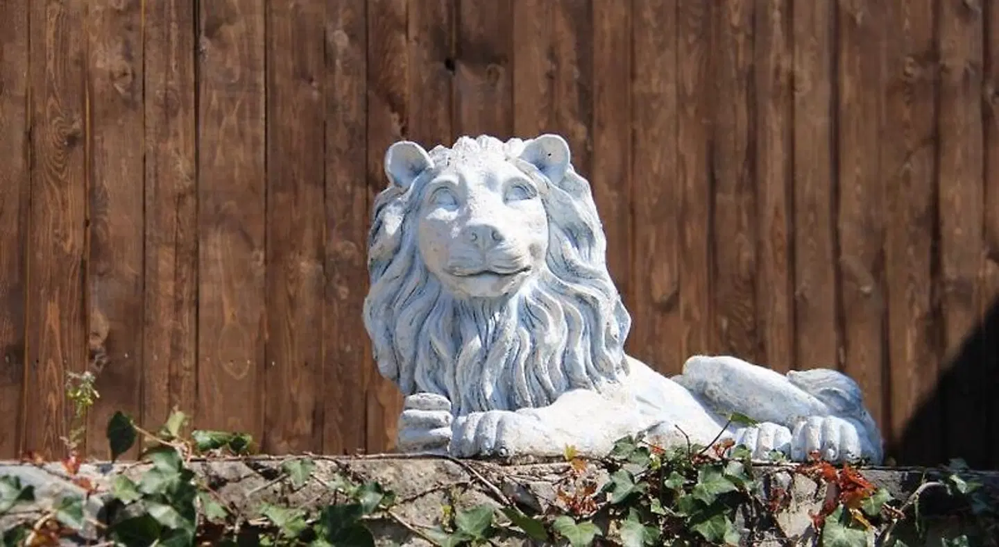 Hotel Zum schwarzen Löwen Tiere