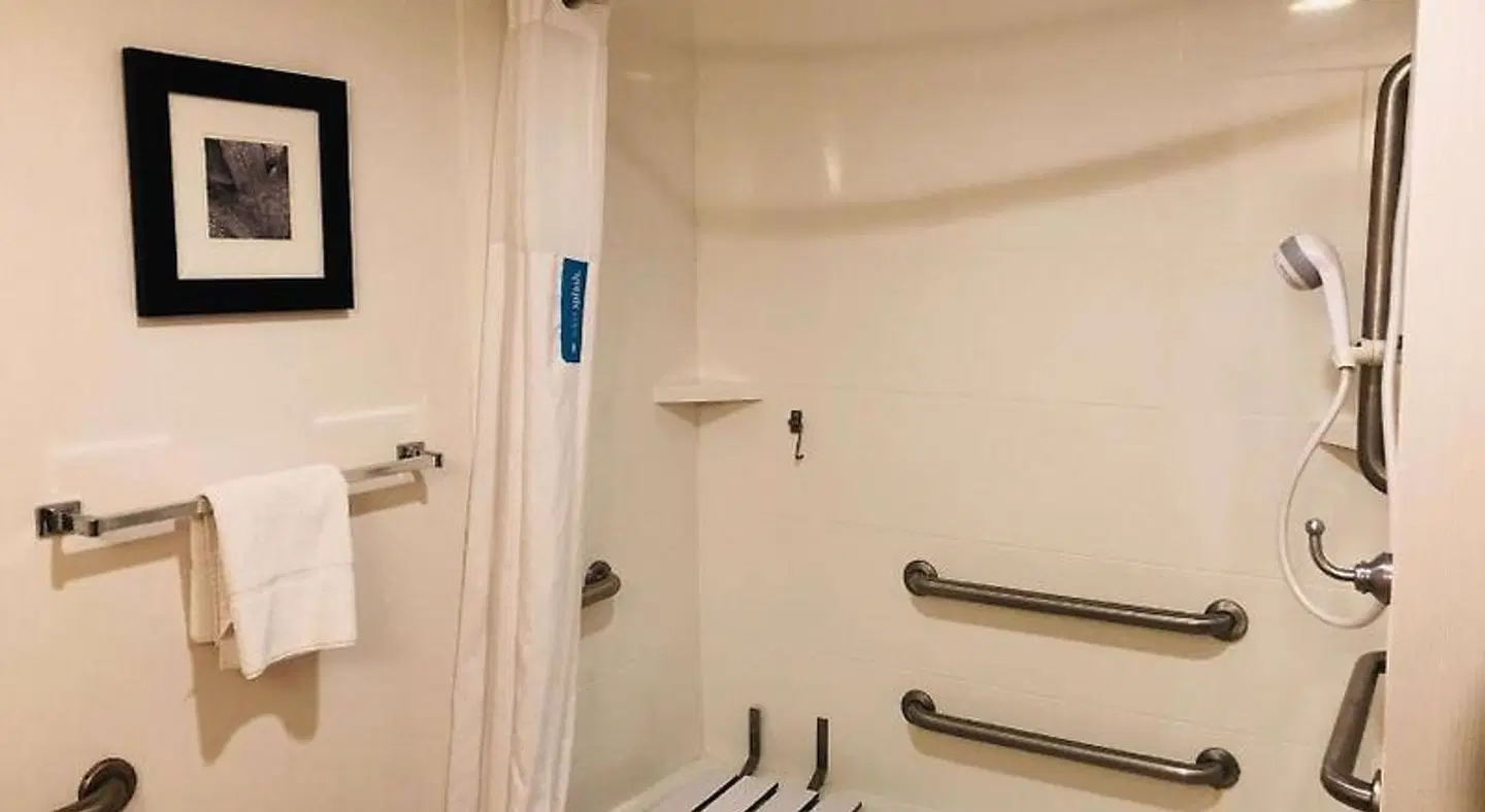 Hampton Inn Ann Arbor-North Badezimmer