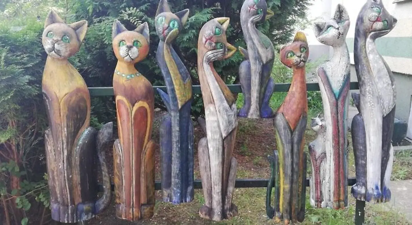 Akacja Pokoje Go'cinne PEOPLE