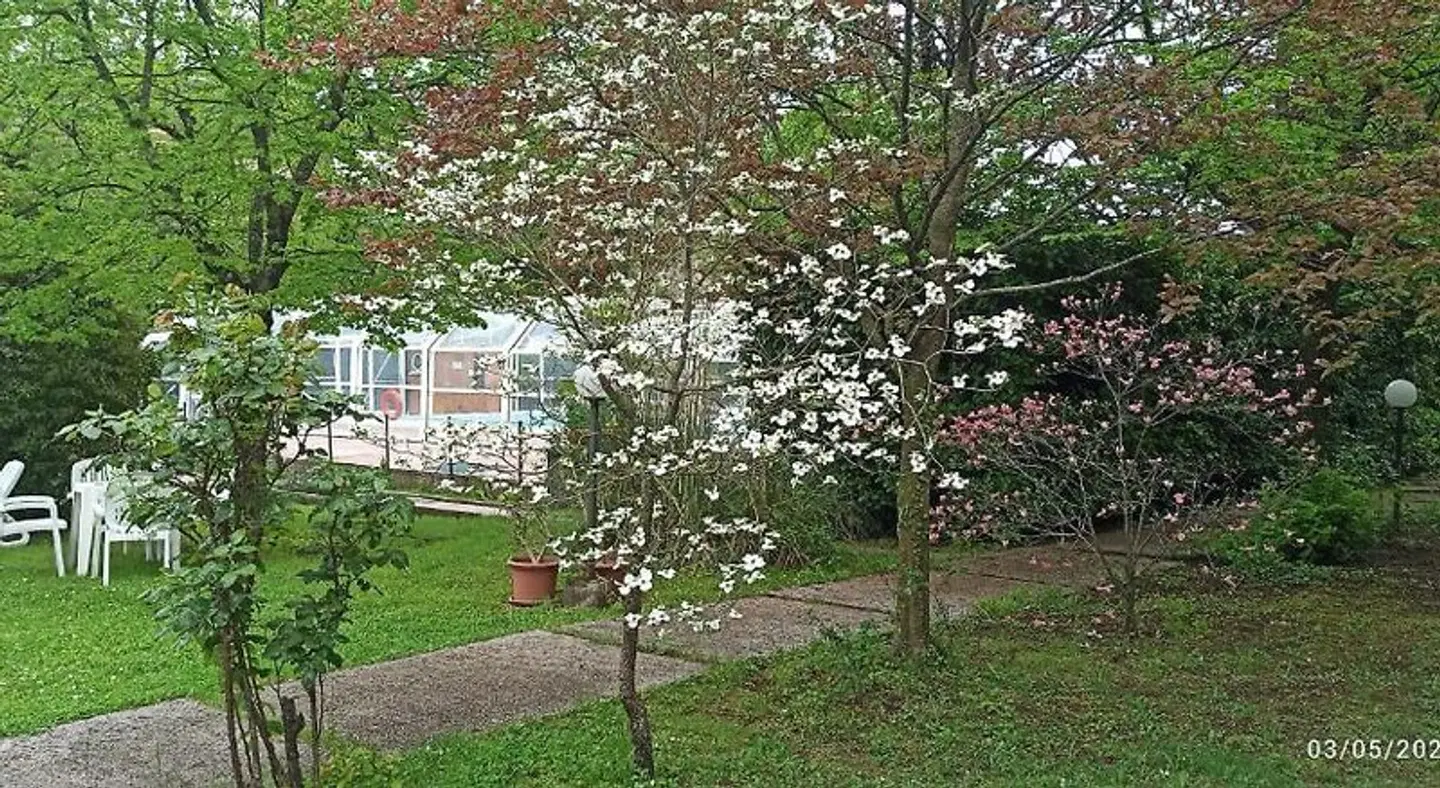 King Hotel Garten