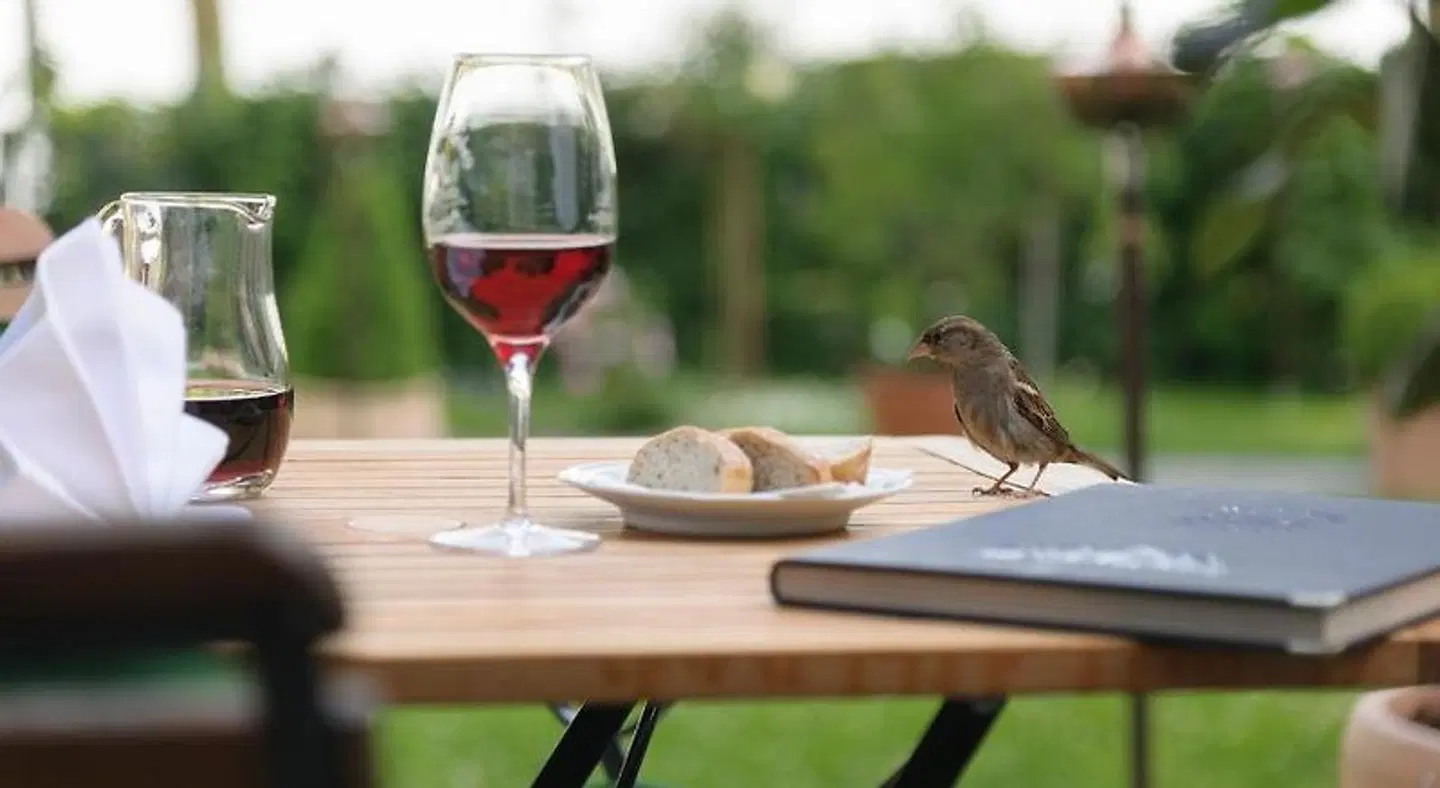 Hotel Barleben am See Tiere