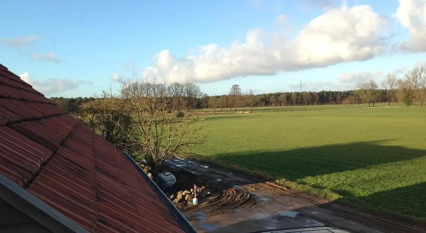 B&B Droomzoet LANDSCAPE