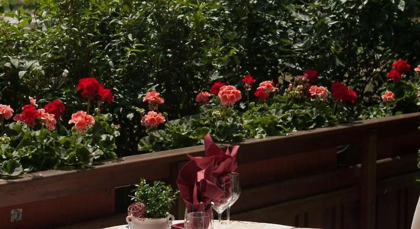 Sindersdorfer Hof Terrasse