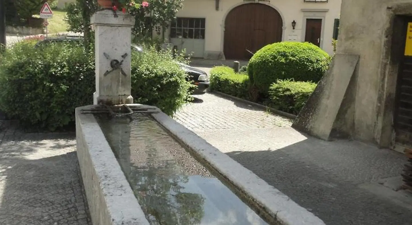 Zum Hirschen Garten