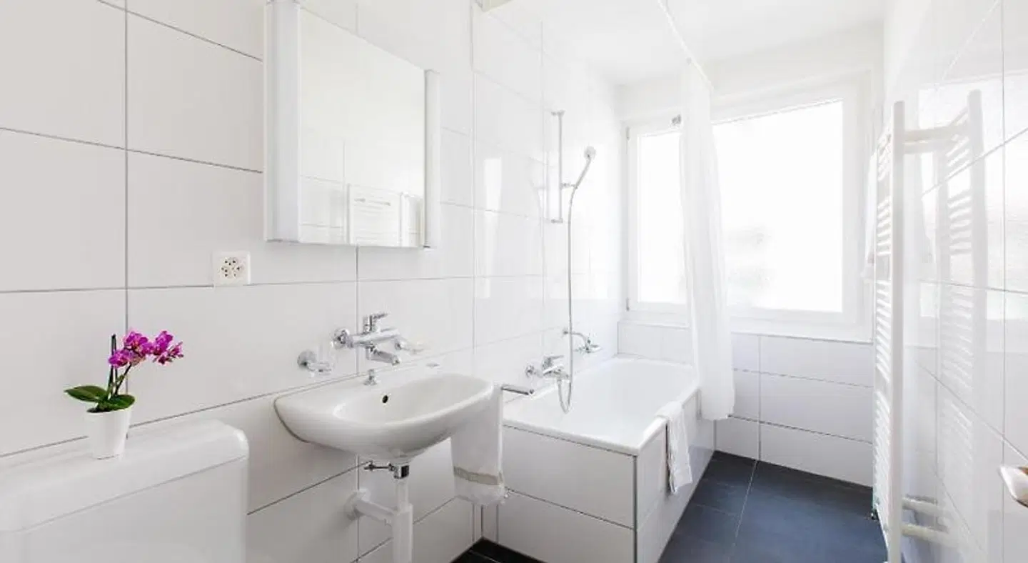 Apartmenthaus Zum Trillen Badezimmer
