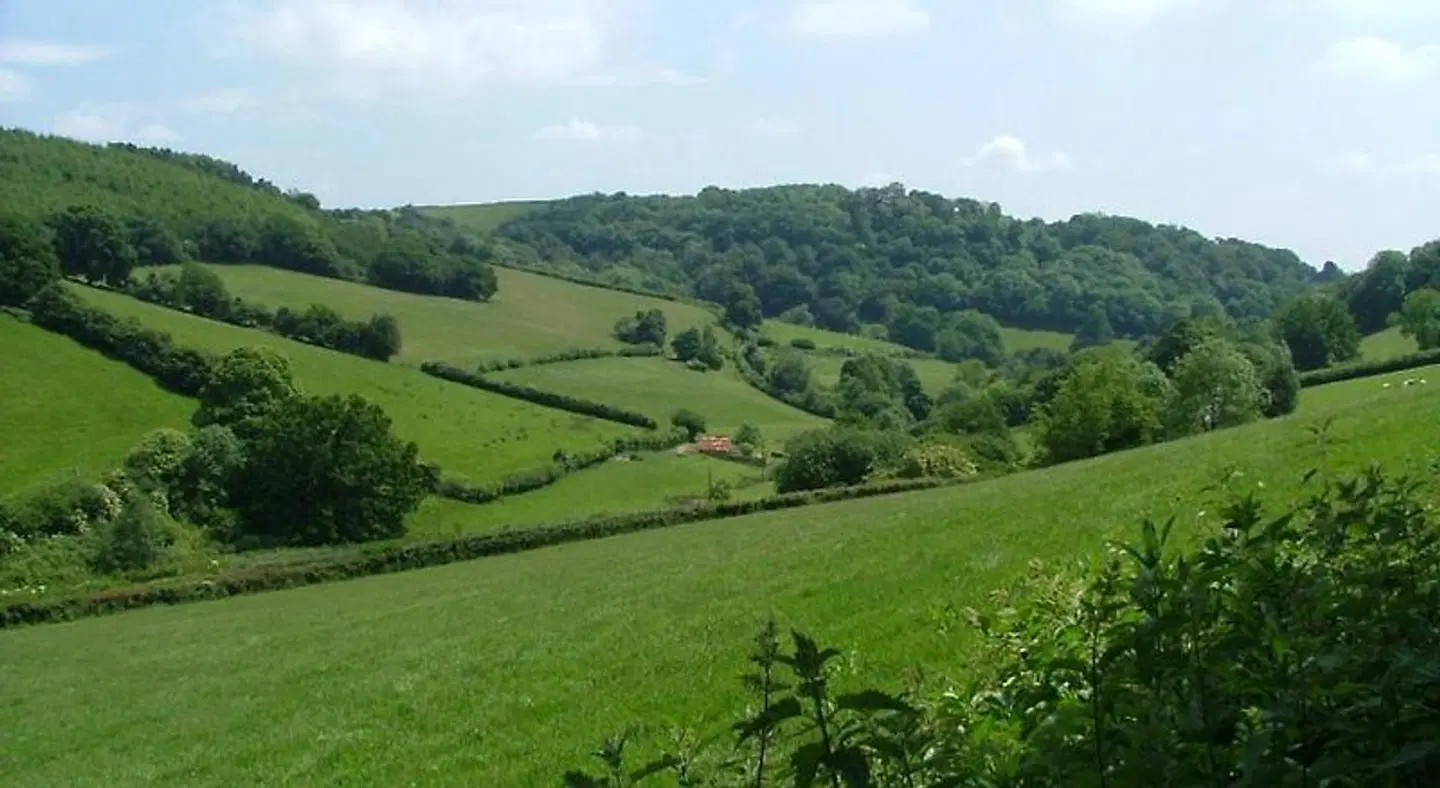 The Old House Cottages LANDSCAPE