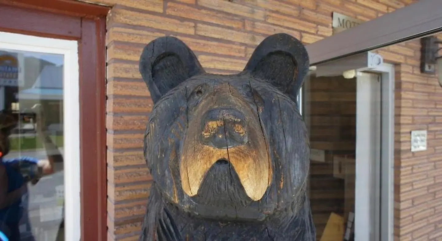 City Center Motel Tiere