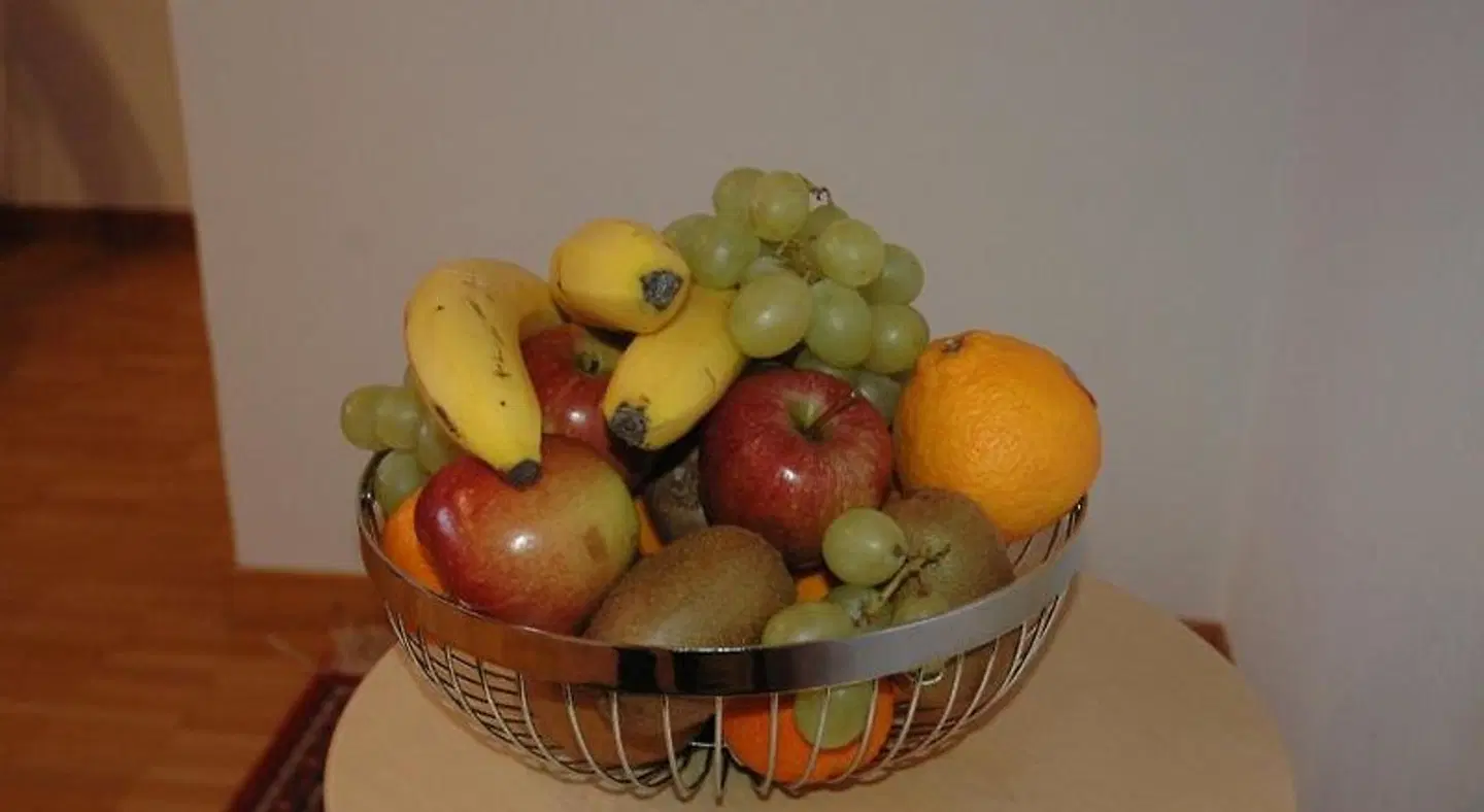 Hotel Pension Im Dorf Tiere
