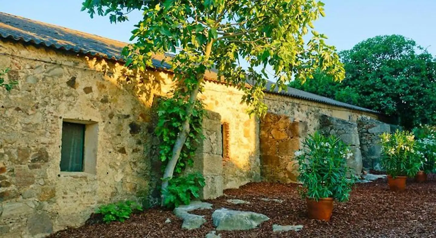Castillo de Cáceres Garten