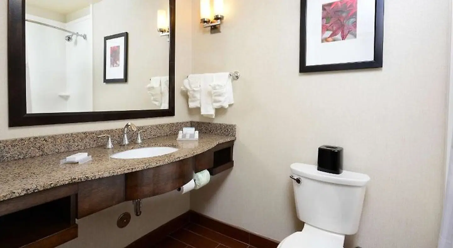 Hilton Garden Inn Greensboro Airport Badezimmer