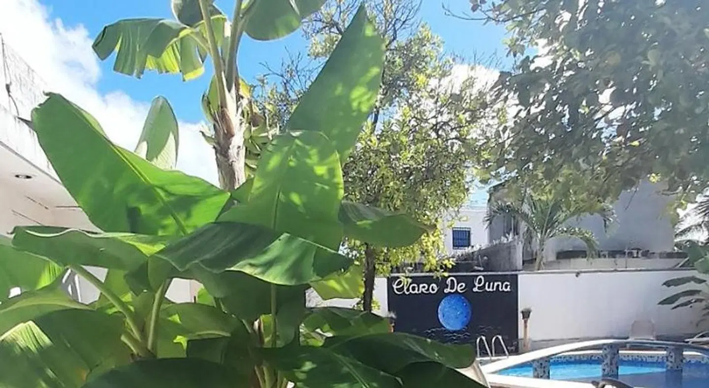 Claro de Luna LANDSCAPE