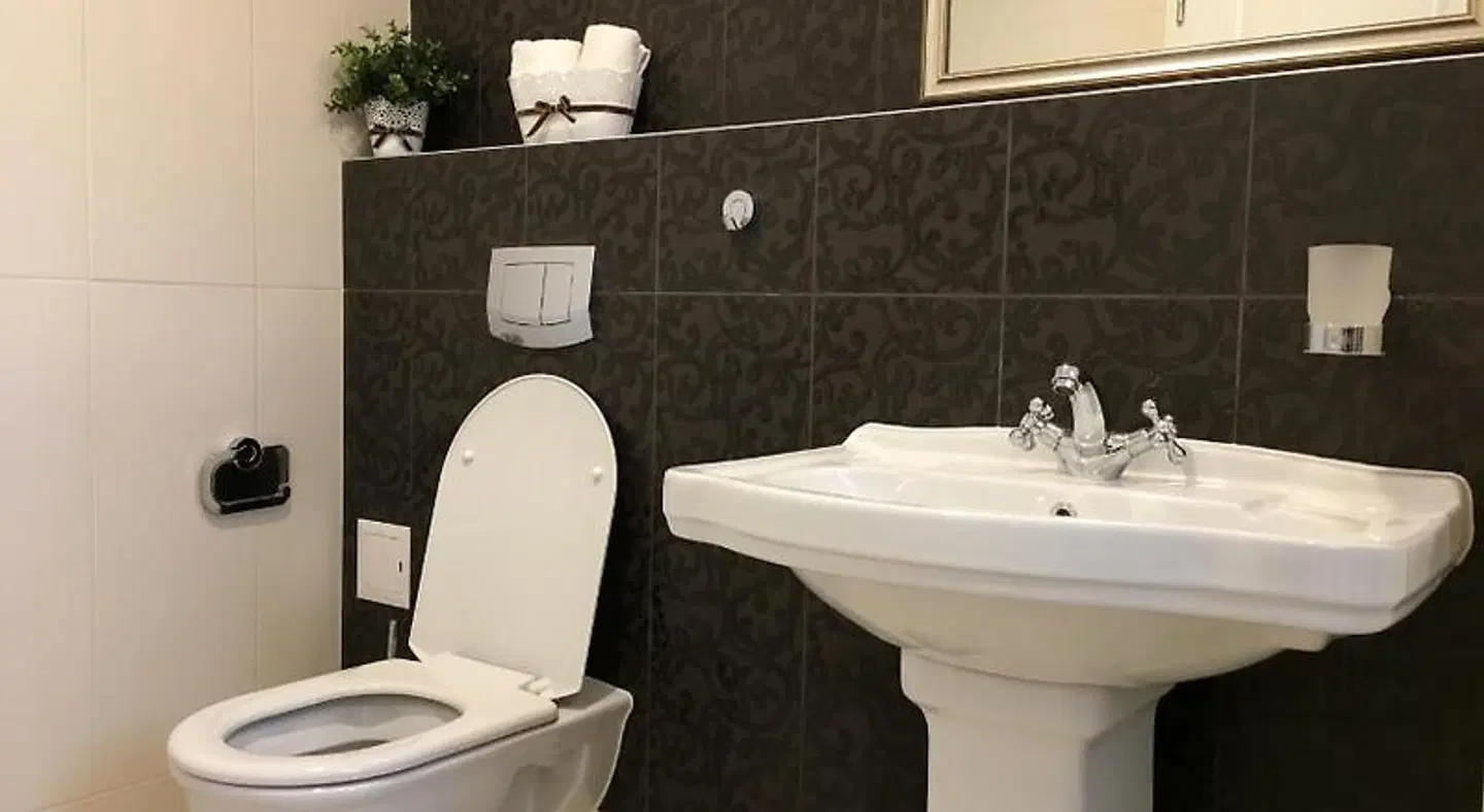 Family Hotel Agoncev Badezimmer