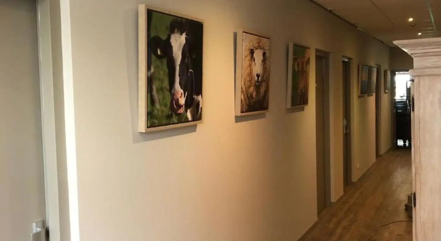 Herberg Binnen LOUNGE_LOBBY