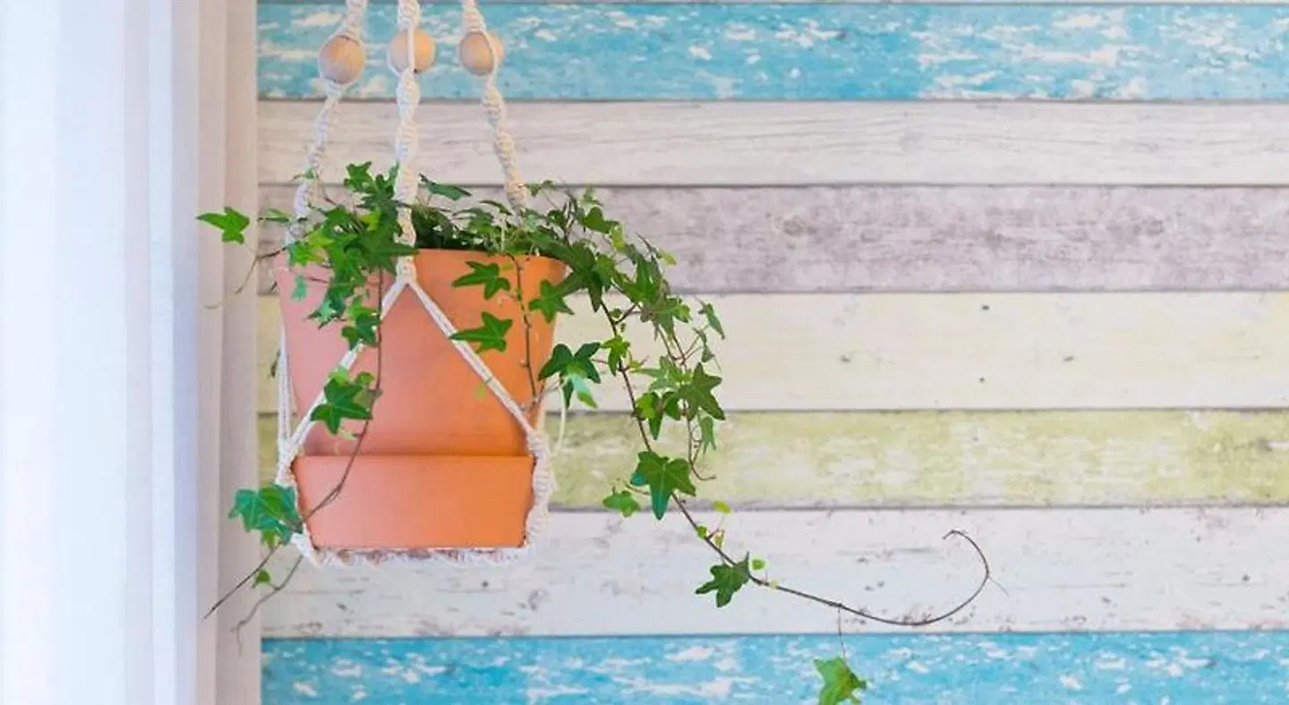 Home Sweet Praia MODEL_IMPRESSION