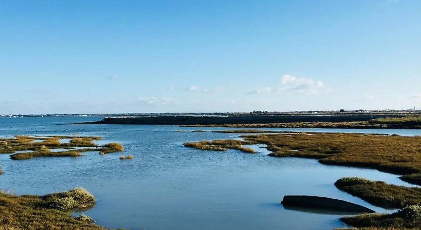 Maison dHôtes Les Ajoncs Strand