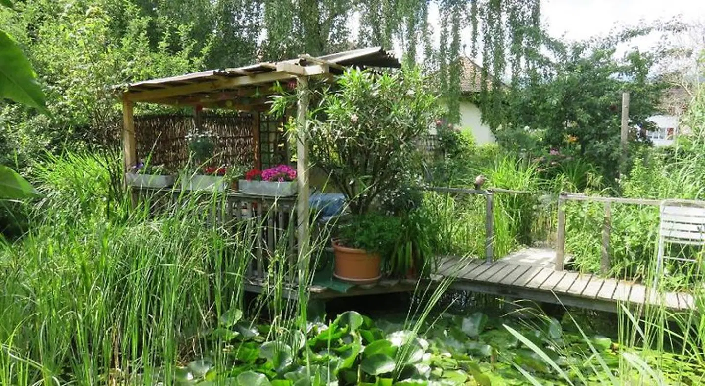 BnB Erlach Garten