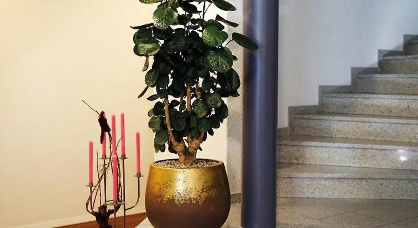 Hotel Garni Arnegg LOUNGE_LOBBY