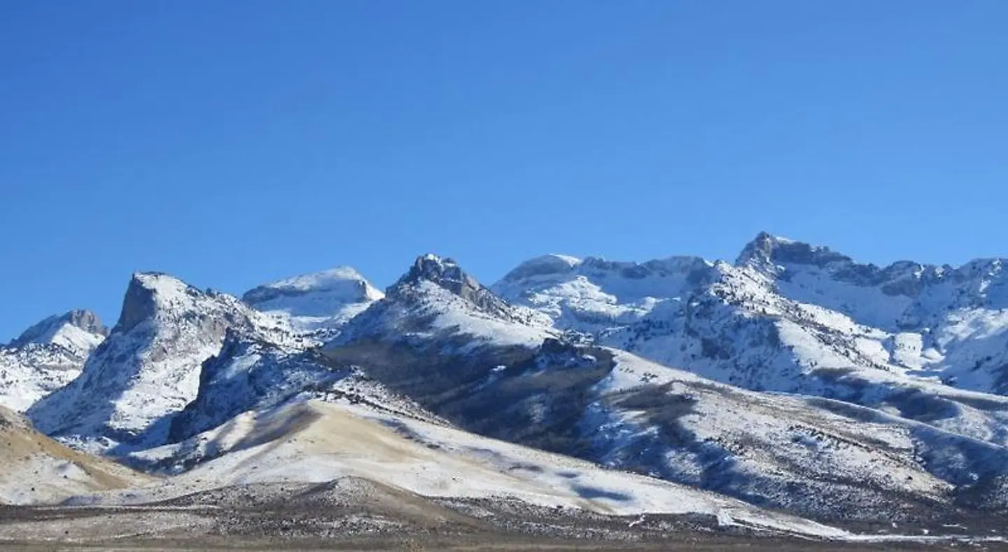 Thunderbird Motel LANDSCAPE