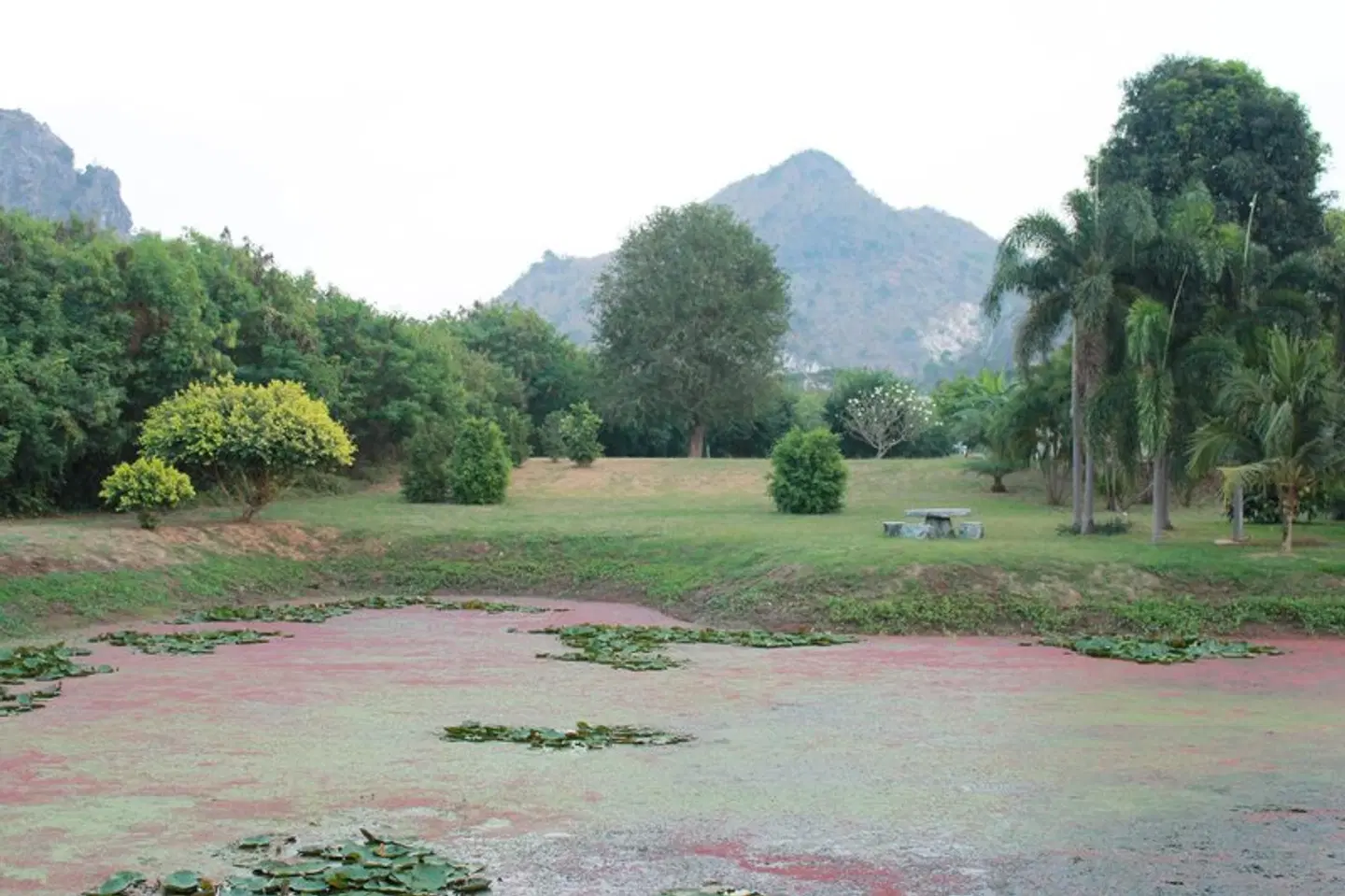 HOME@HOSTEL KANCHANABURI LANDSCAPE