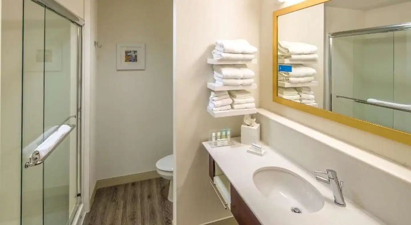 Hampton Inn Houston Downtown Badezimmer