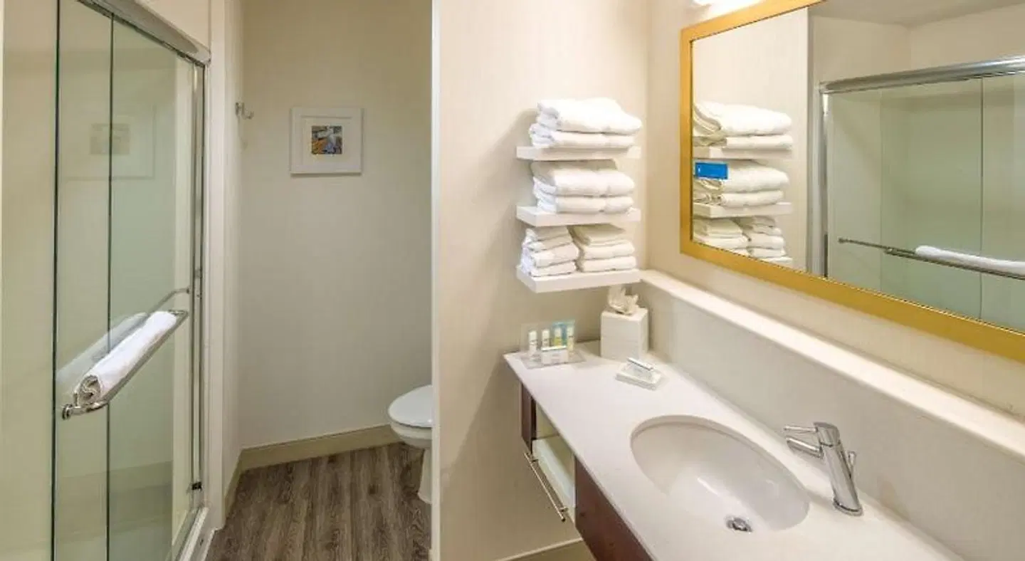 Hampton Inn Houston Downtown Badezimmer