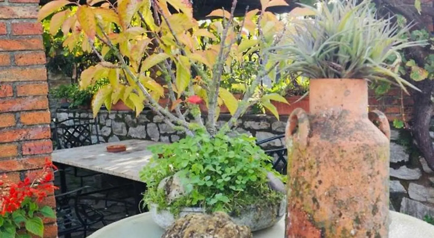 Casa los Laureles Garten