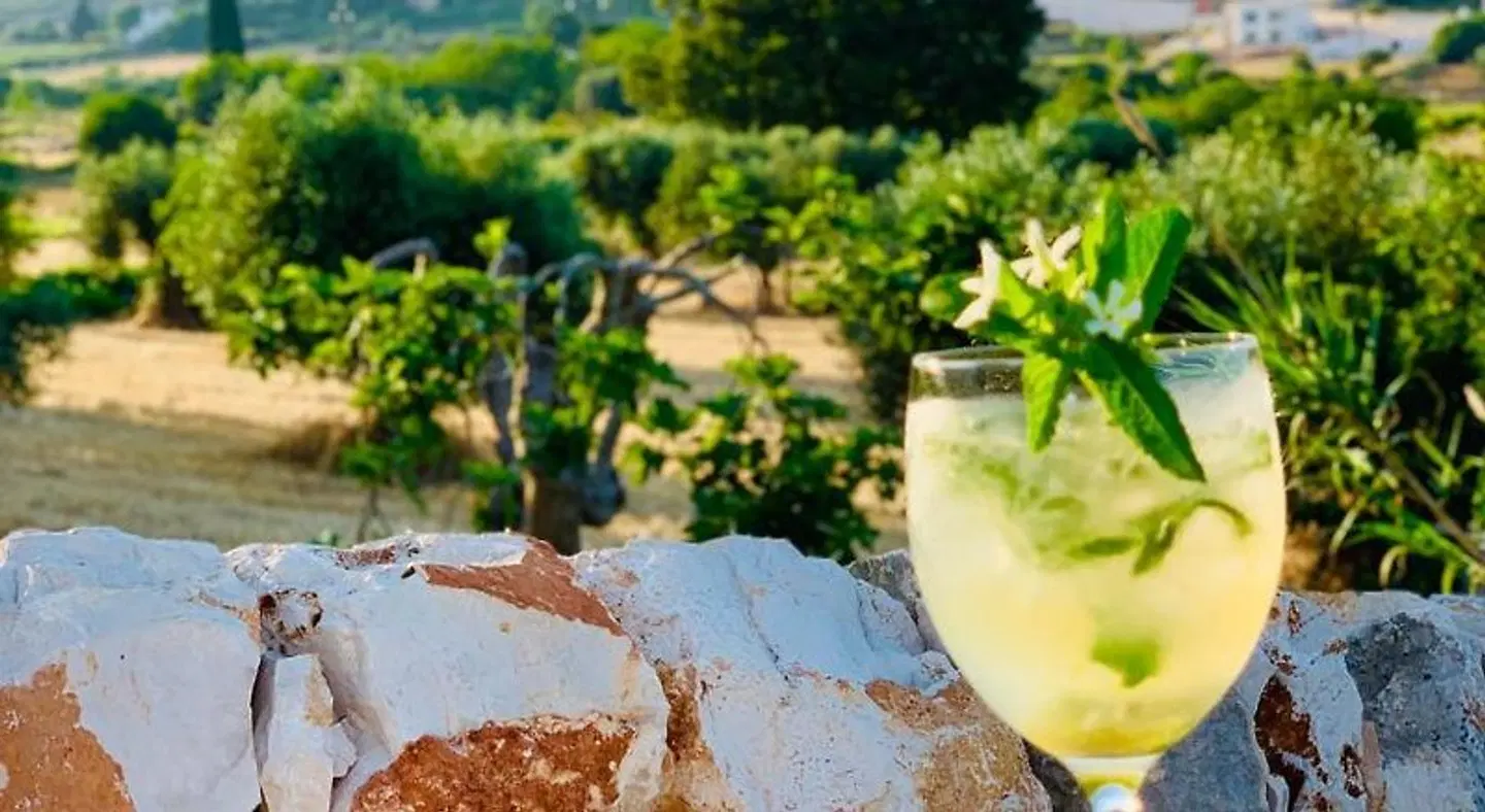 Masseria Grofoleo Garten