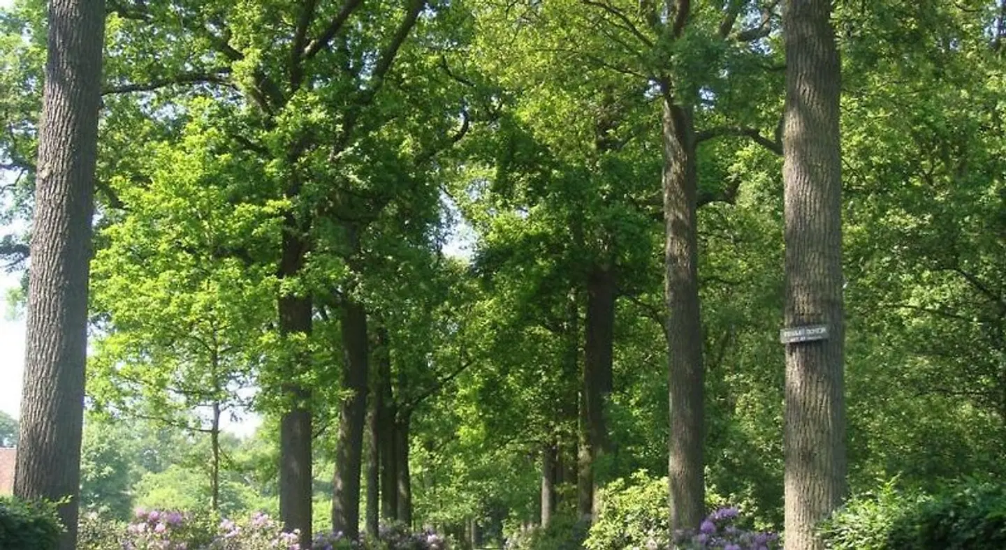 Bossenstein Golf & Polo Club LANDSCAPE