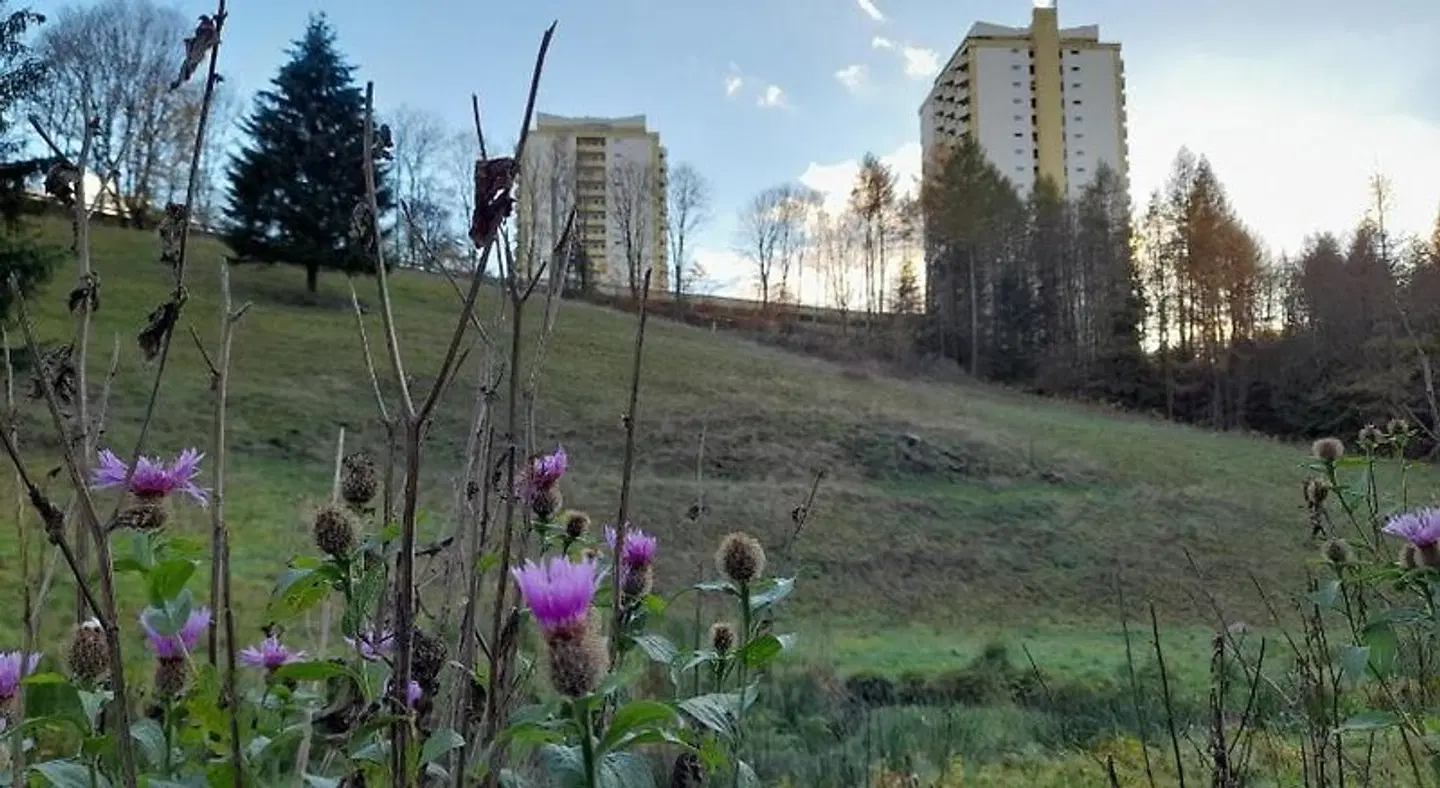 Hotel Silbertanne LANDSCAPE