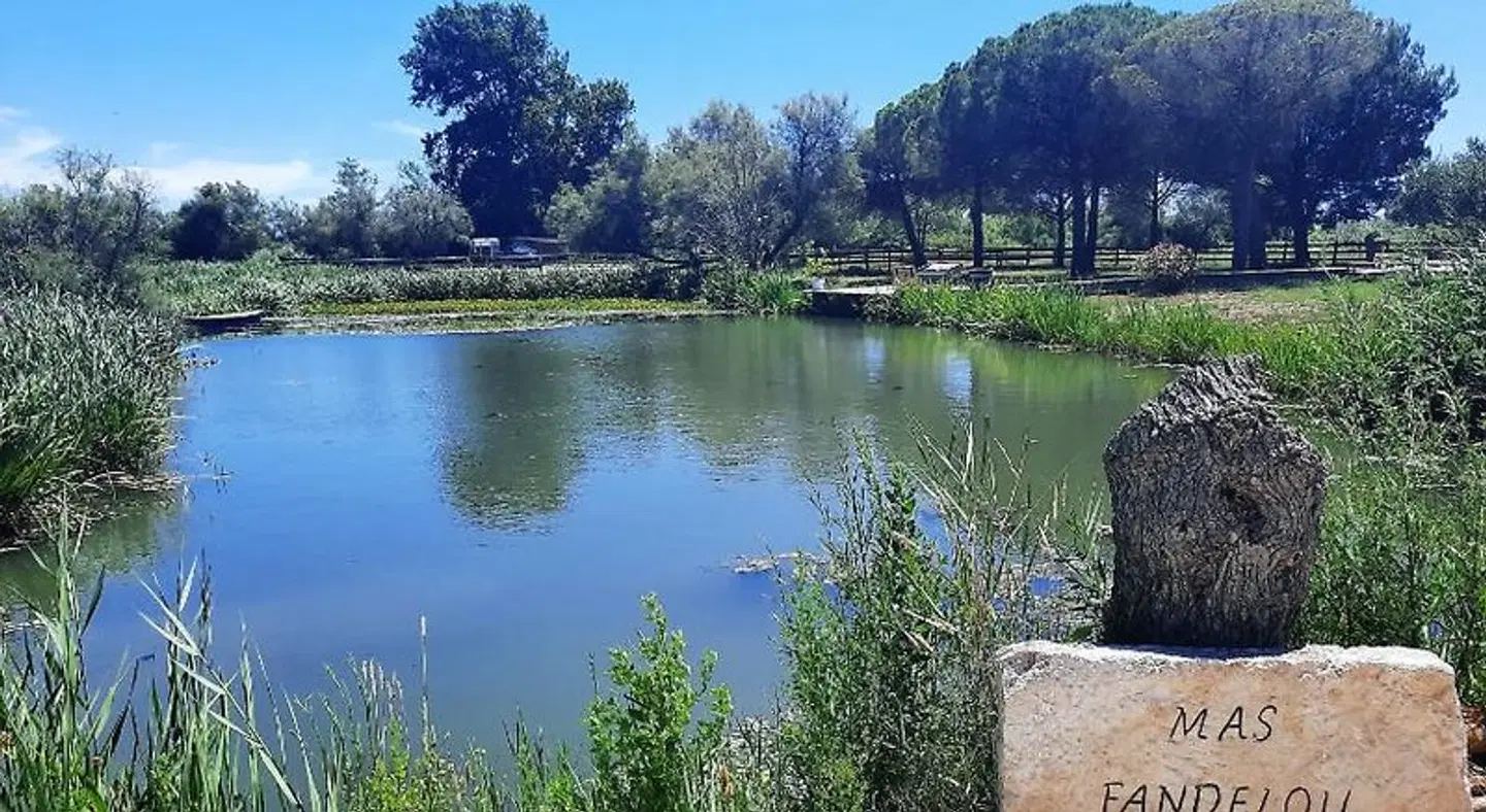 B&B Mas Fandelou LANDSCAPE