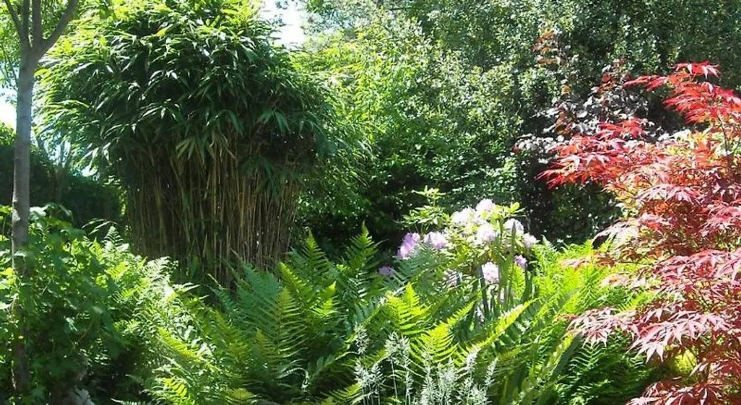 B&B Het Tuinhuisje LANDSCAPE
