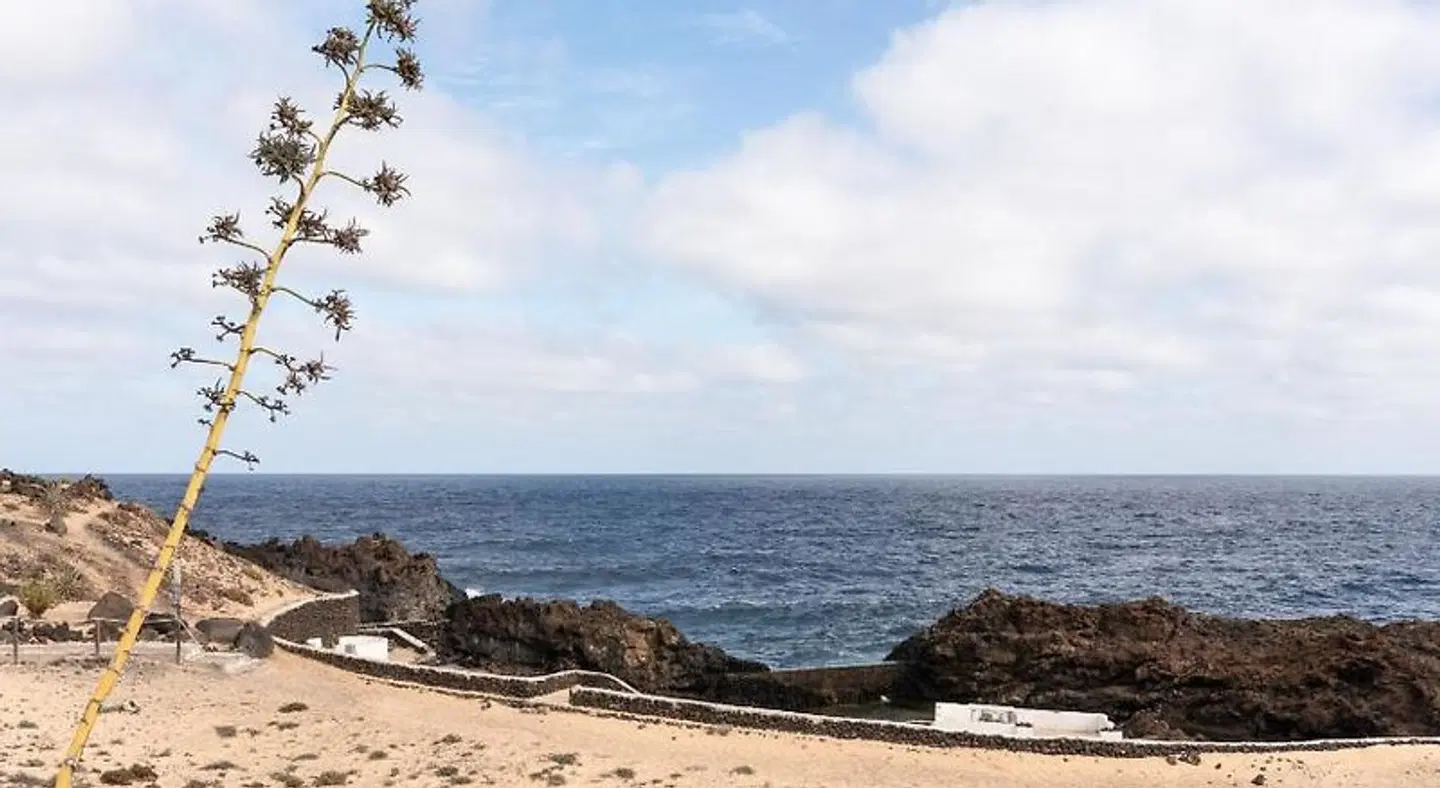 Delmar Natur Villas Strand