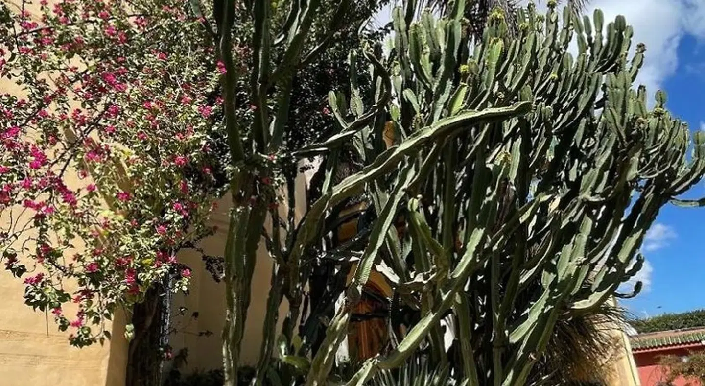 Riad Noumidya LANDSCAPE