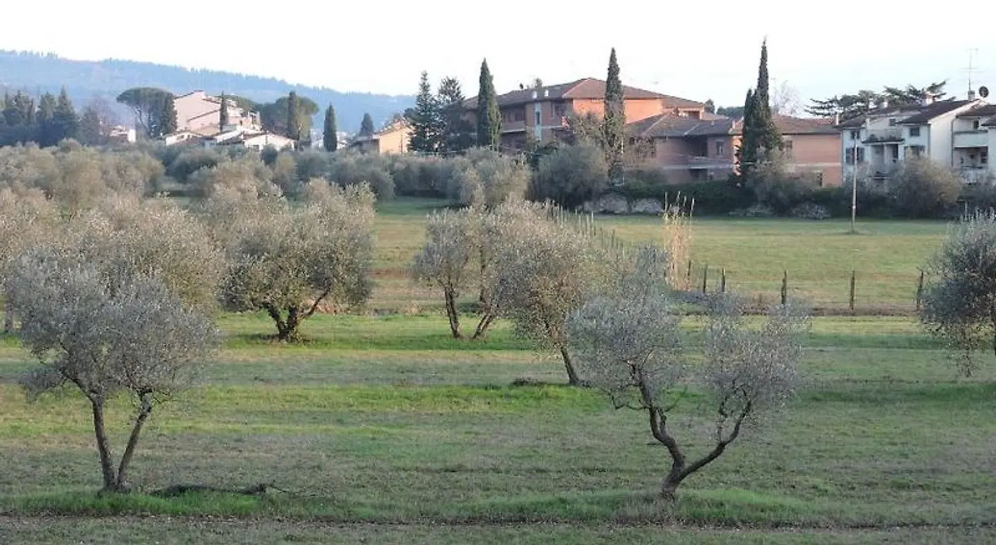 Querceto B&B Tiere