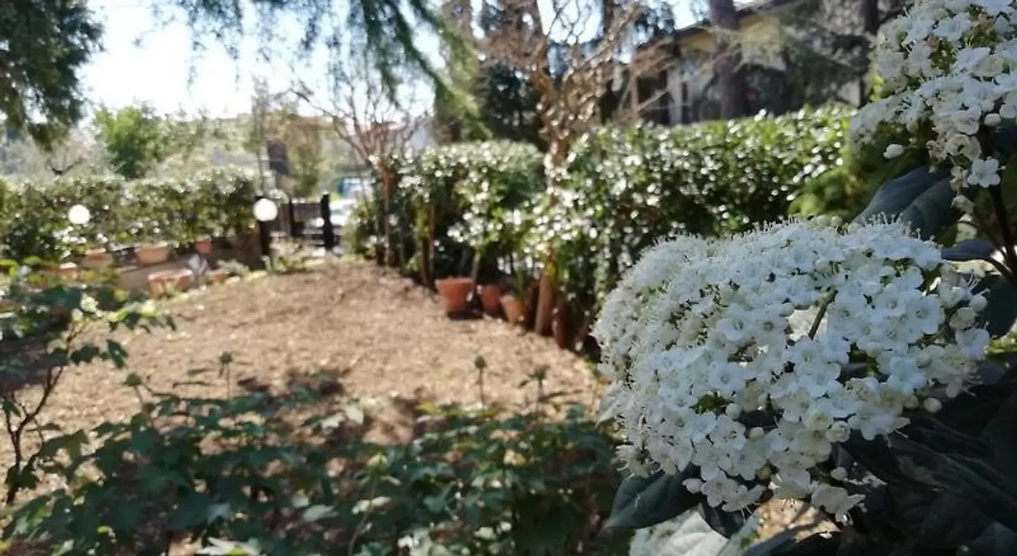 Querceto B&B Garten