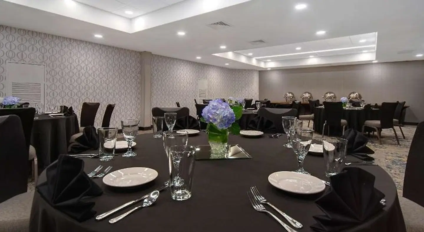 Embassy Suites by Hilton Detroit Metro Airport Konferenz