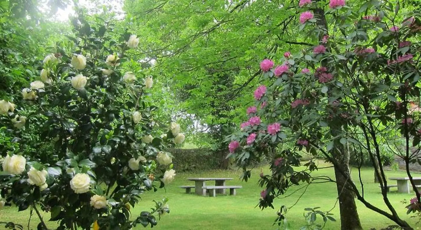 Quinta Vale do Homem Garten
