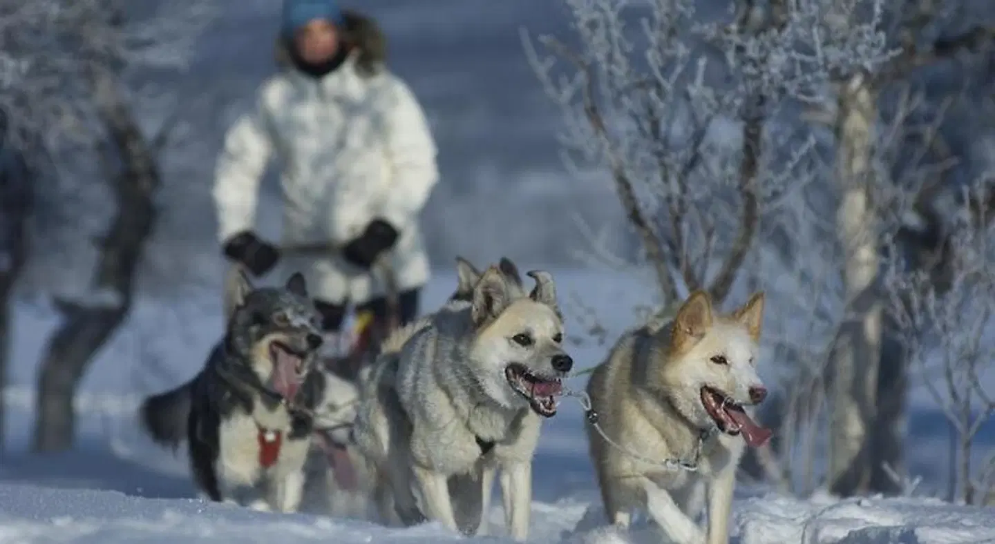 Røros Hotell - Bad & Velvære Tiere