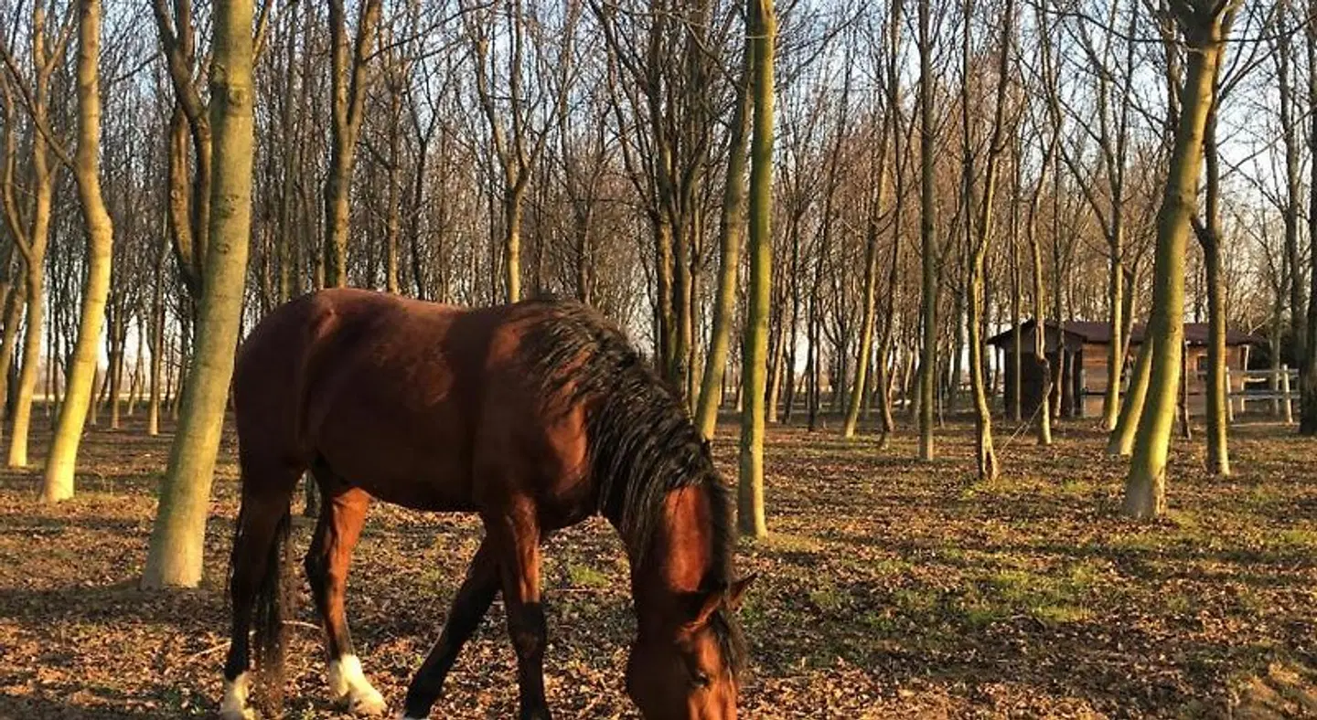 Agriturismo Corte Rocca Tiere