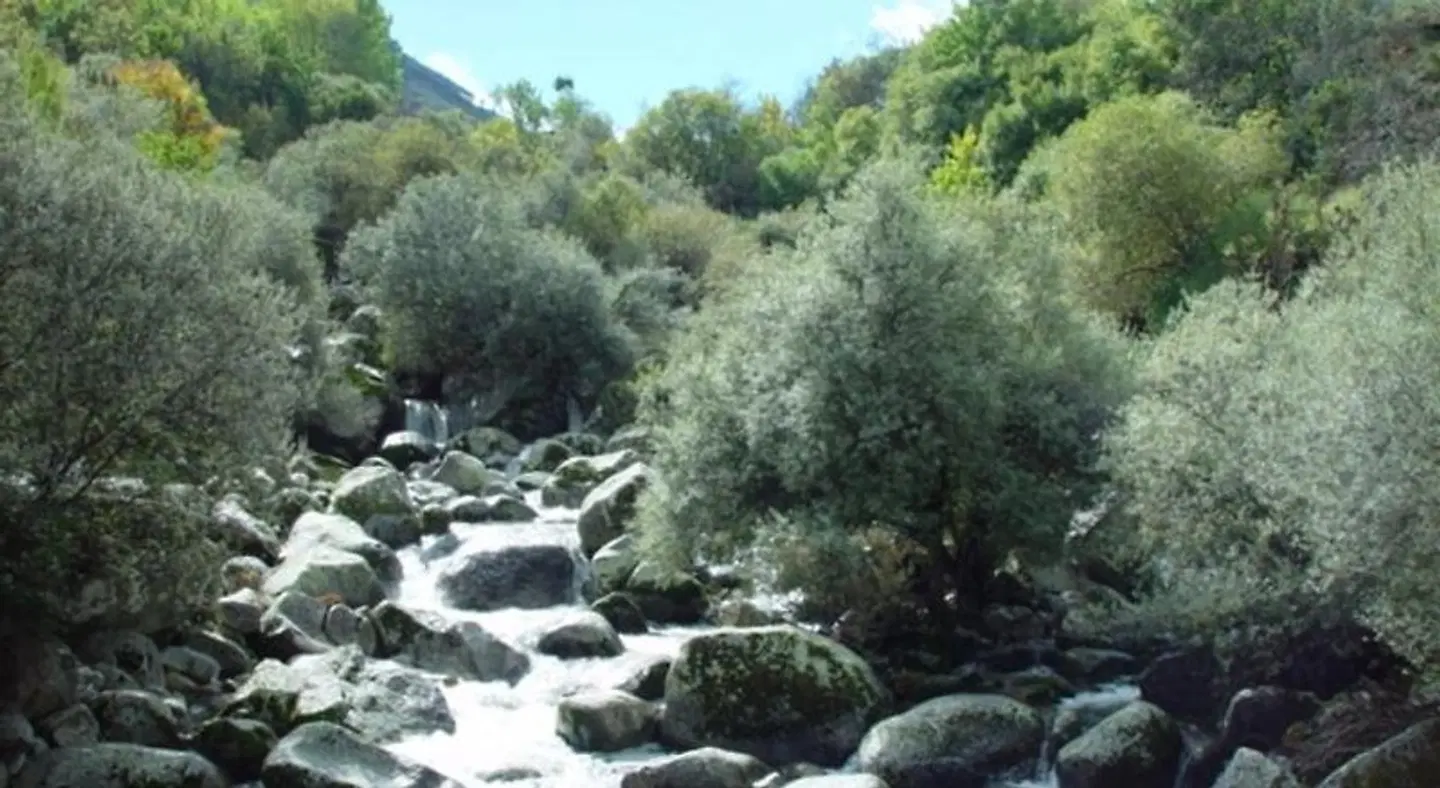 Descanso Serrano LANDSCAPE
